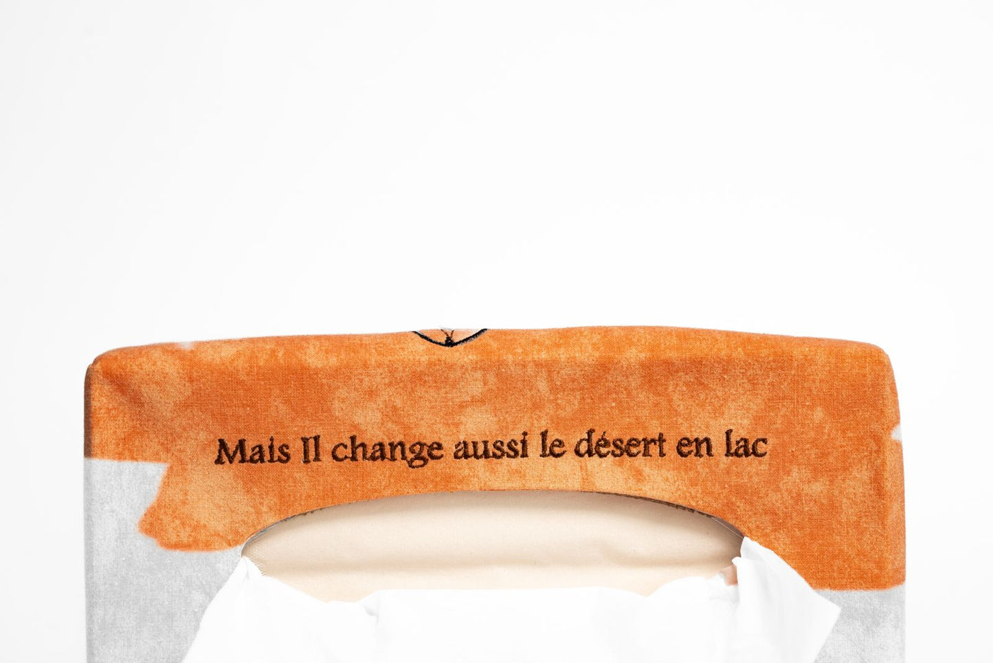 Couvre boîte à mouchoirs - "Car il change aussi le désert en lac" – Psaumes 107:35